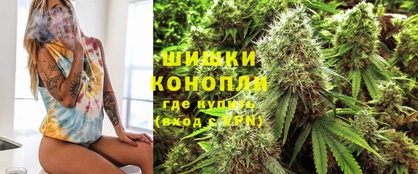 PSILOCYBIN Аркадак